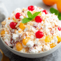 u6852584378 httpss.mj .run2fZ9p8Wrx4I Ambrosia Salad ar 56 254835c1 c6c6 4f36 bd01 3adc5ed8f8e8 1